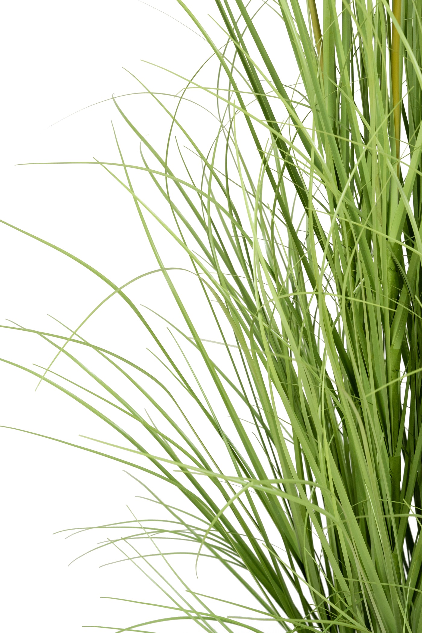 Iarba artificiala Onion 150 cm cu 18 flori de morcov albe