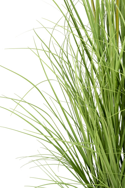 Iarba artificiala Onion 150 cm cu 18 flori de morcov albe