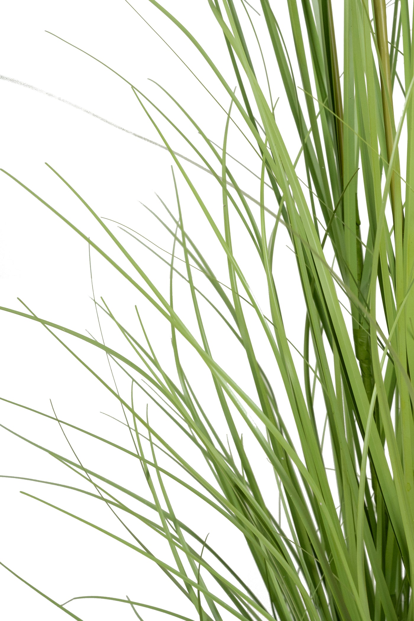 Iarba artificiala Onion 150 cm cu 18 flori de morcov albe