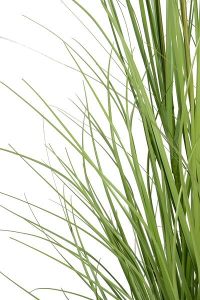 Iarba artificiala Onion 150 cm cu 18 flori de morcov albe