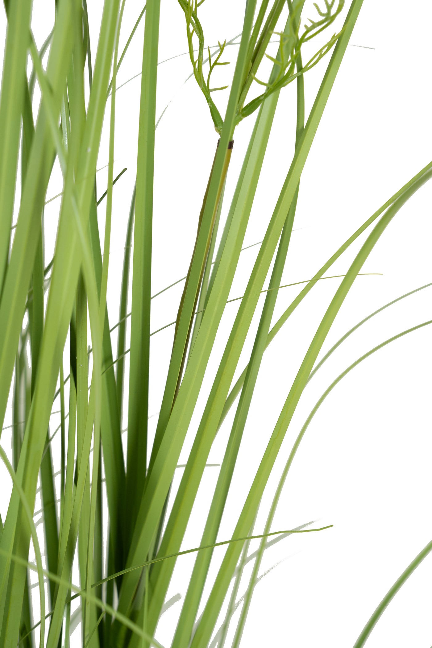 Iarba artificiala Onion 150 cm cu 18 flori de morcov albe