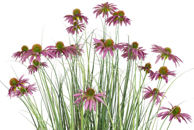 Iarba artificiala Onion 150 cm cu 22 flori violet de crizantema