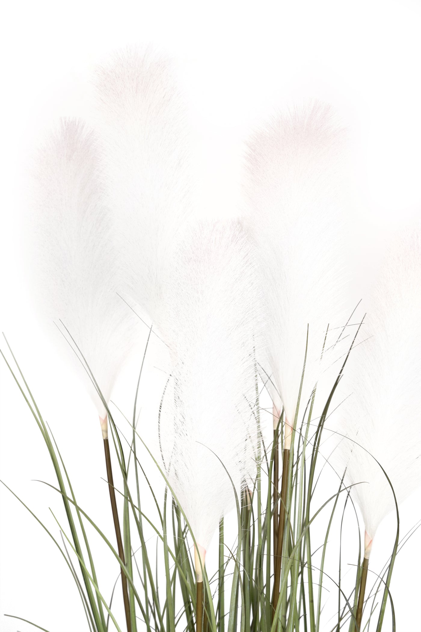 Iarba artificiala Onion 150 cm cu 7 flori crem de pampas