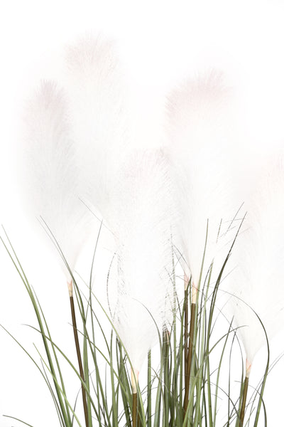 Iarba artificiala Onion 150 cm cu 7 flori crem de pampas