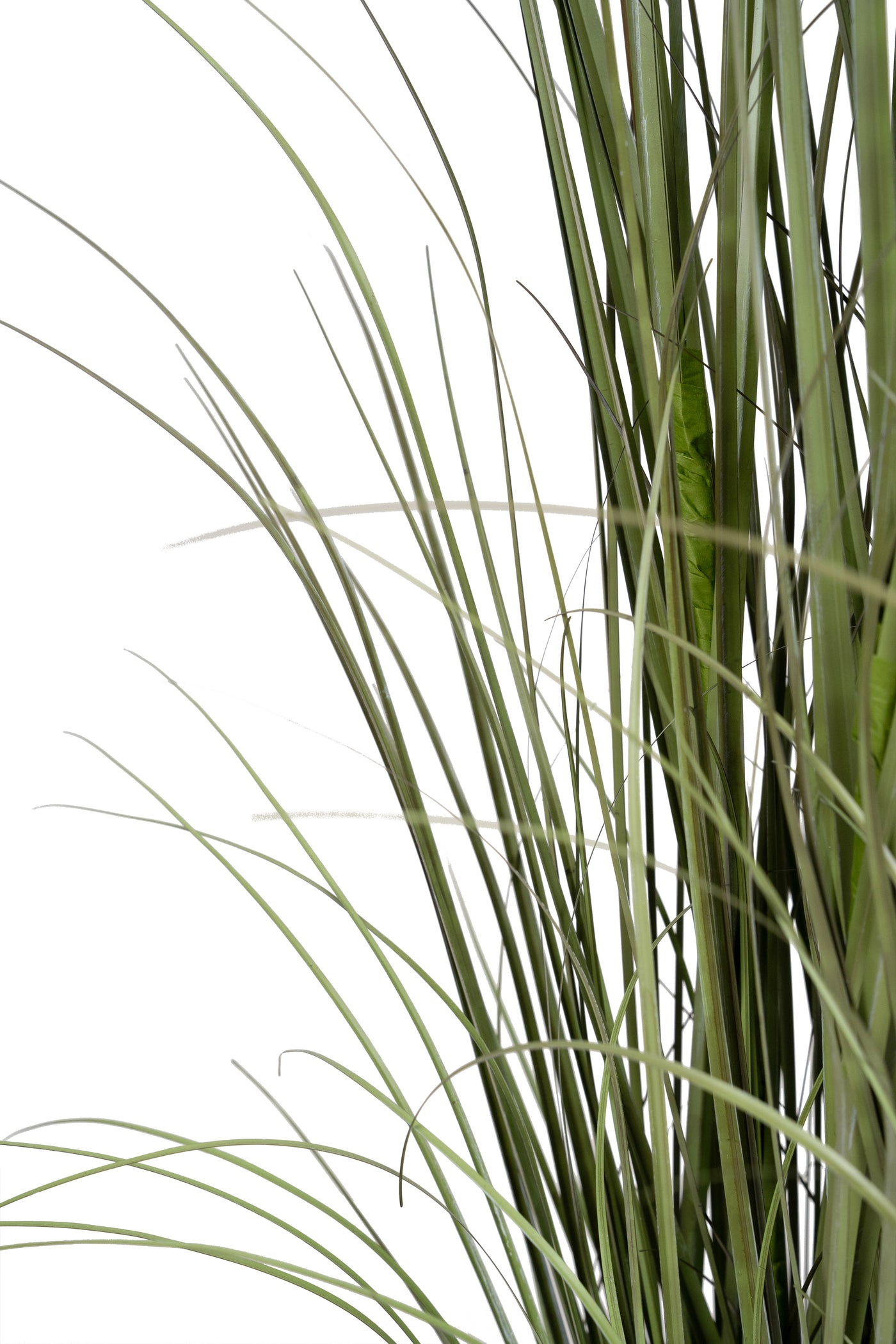 Iarba artificiala Onion 150 cm cu 7 flori crem de pampas