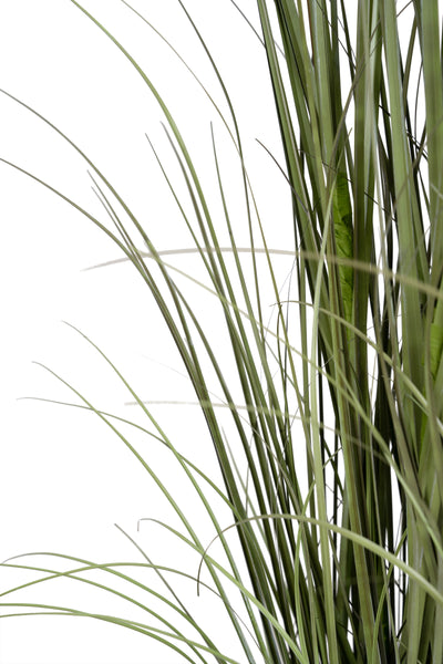 Iarba artificiala Onion 150 cm cu 7 flori crem de pampas