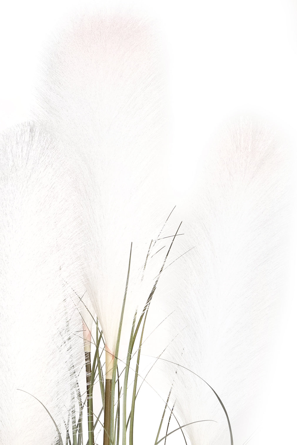 Iarba artificiala Onion 150 cm cu 7 flori crem de pampas