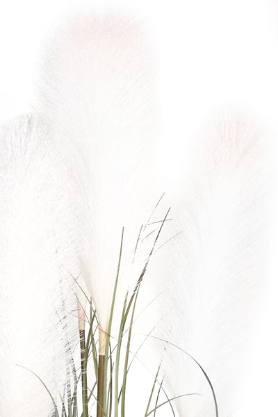 Iarba artificiala Onion 150 cm cu 7 flori crem de pampas