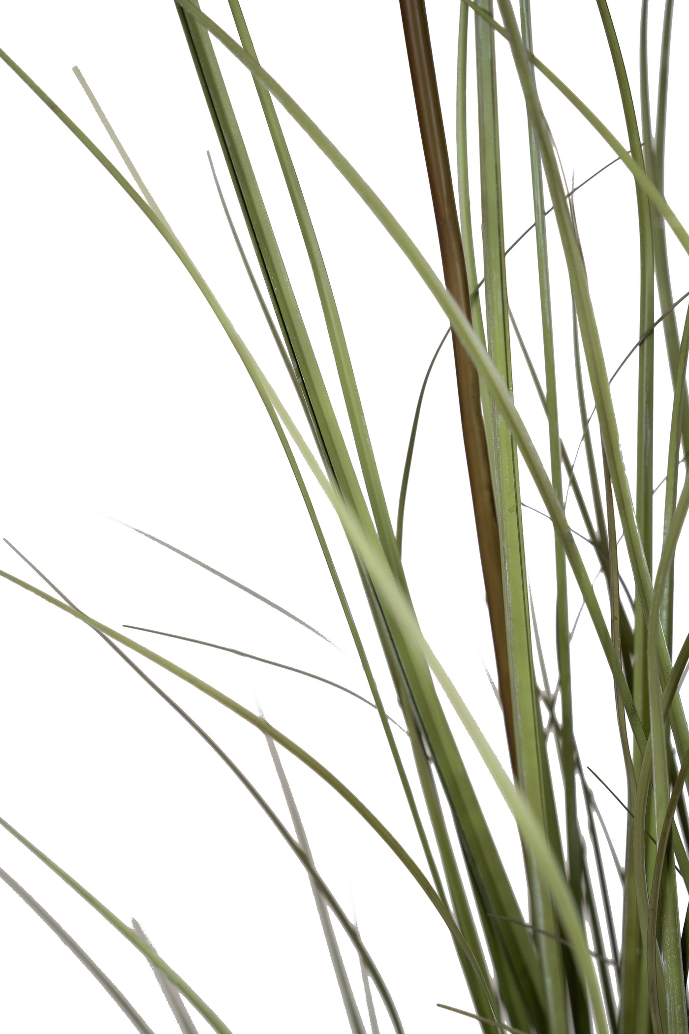 Iarba artificiala Onion 150 cm cu 7 flori crem de pampas