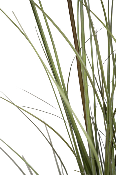 Iarba artificiala Onion 150 cm cu 7 flori crem de pampas