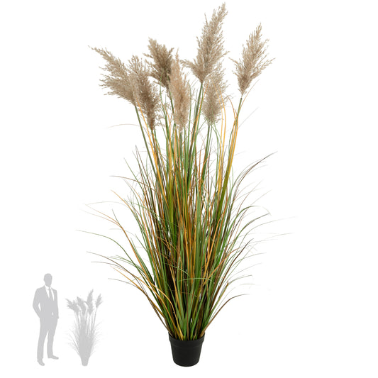 Iarba artificiala Onion 150 cm cu 7 flori naturale de pampas bej