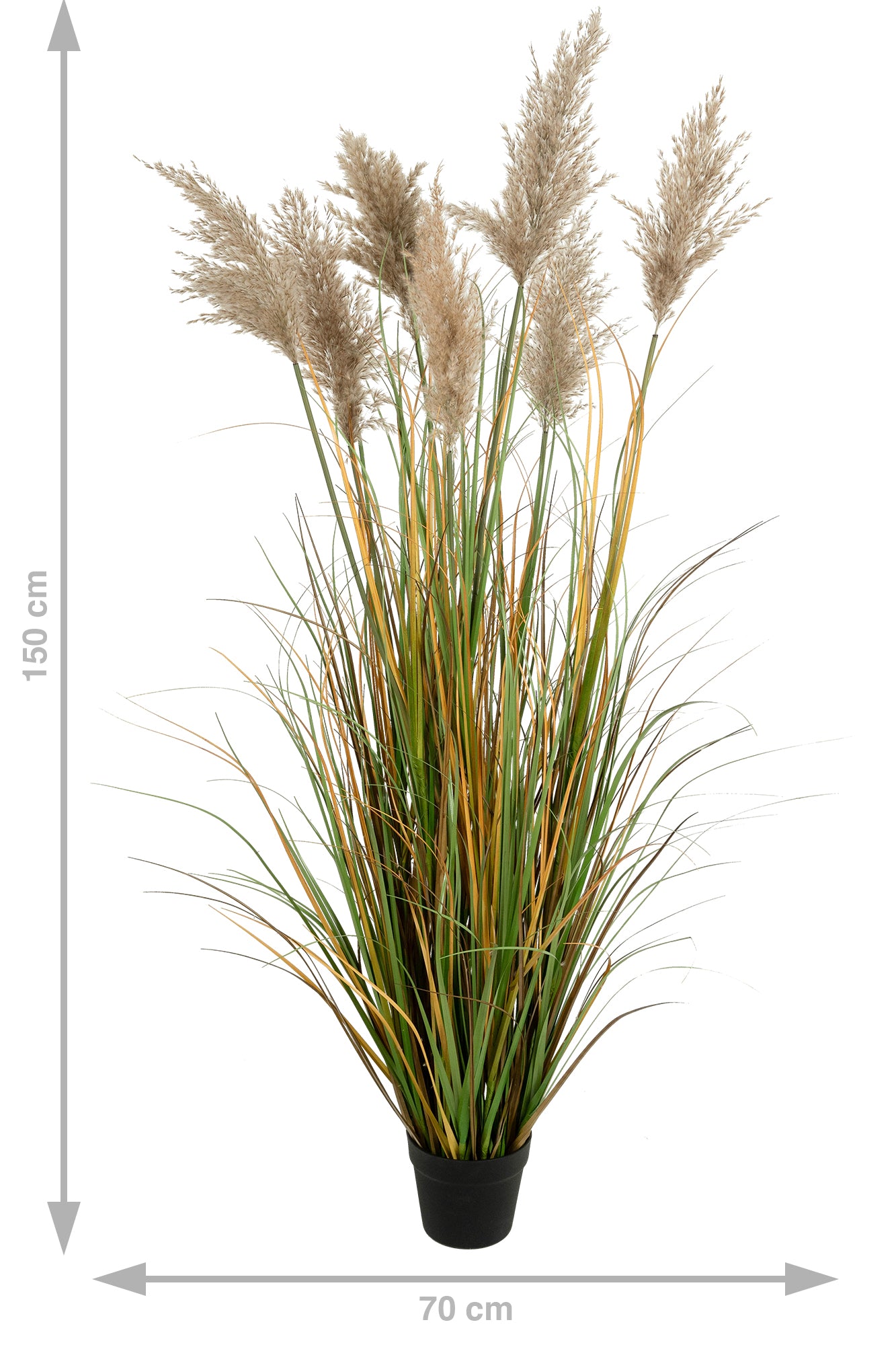 Iarba artificiala Onion 150 cm cu 7 flori naturale de pampas bej