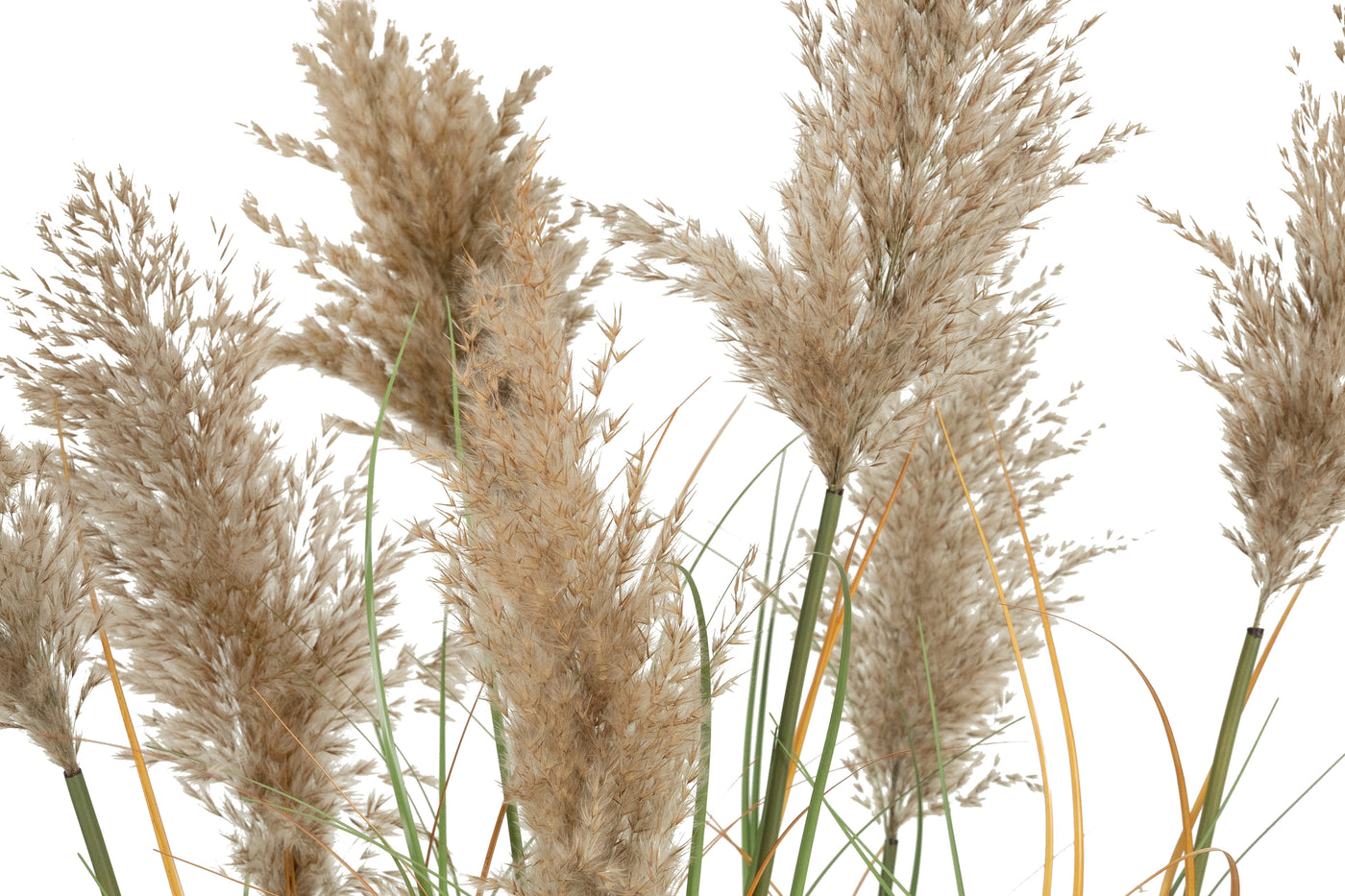Iarba artificiala Onion 150 cm cu 7 flori naturale de pampas bej