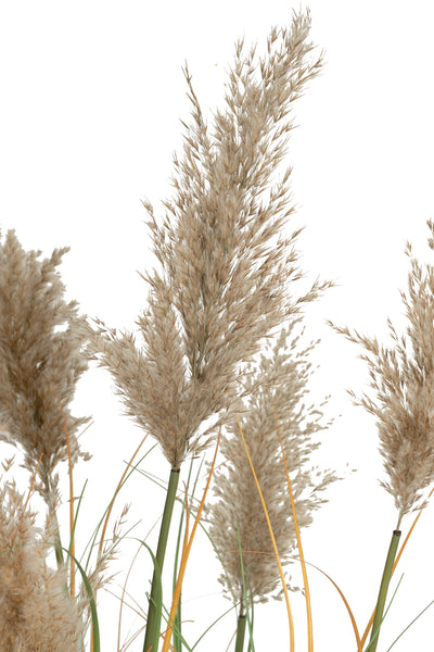 Iarba artificiala Onion 150 cm cu 7 flori naturale de pampas bej