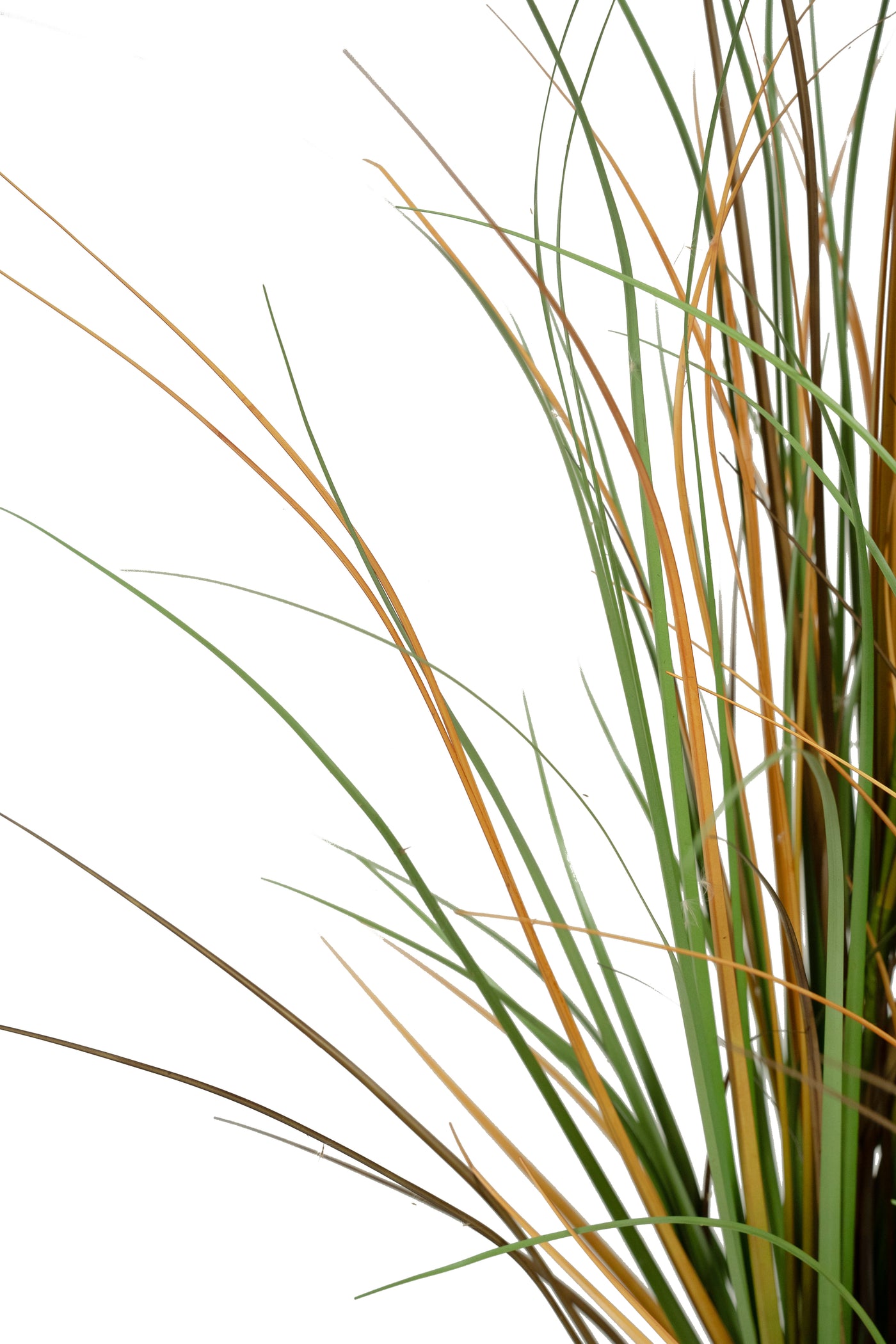 Iarba artificiala Onion 150 cm cu 7 flori naturale de pampas bej