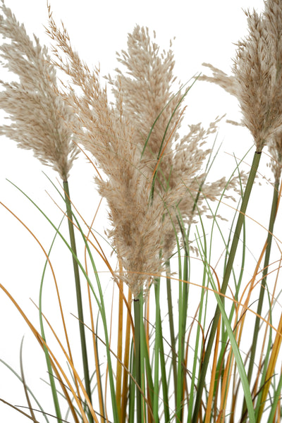 Iarba artificiala Onion 150 cm cu 7 flori naturale de pampas bej
