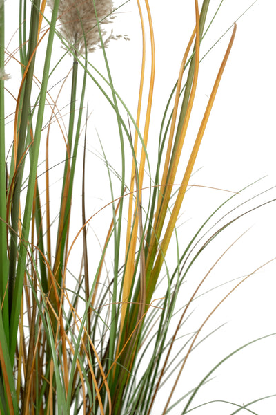 Iarba artificiala Onion 150 cm cu 7 flori naturale de pampas bej
