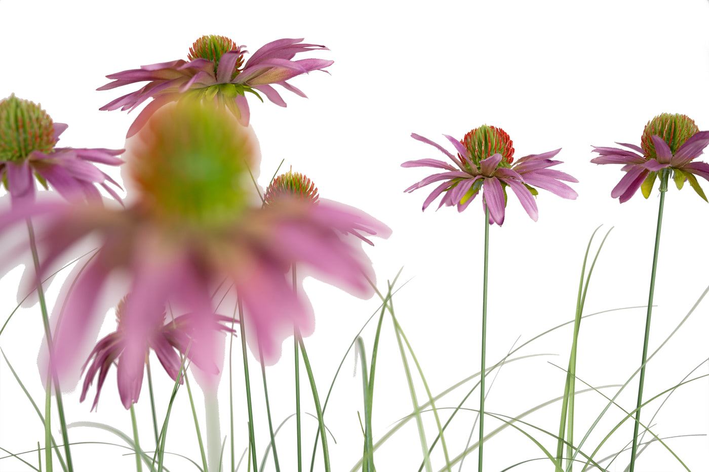 Iarba artificiala Onion 150 cm cu 9 flori mov de crizantema