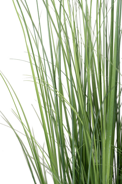 Iarba artificiala Onion 150 cm cu 9 flori mov de crizantema