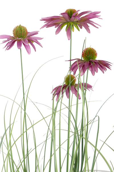 Iarba artificiala Onion 150 cm cu 9 flori mov de crizantema