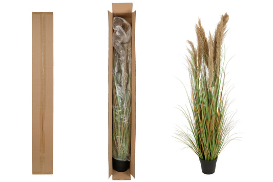 Iarba artificiala Onion 170 cm cu 7 flori naturale de pampas bej