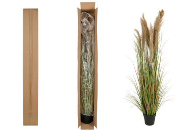 Iarba artificiala Onion 170 cm cu 7 flori naturale de pampas bej