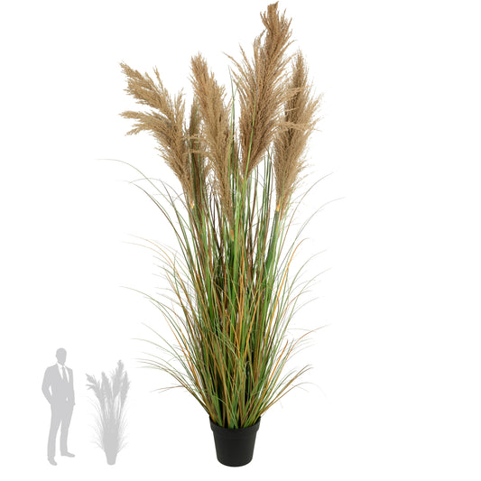 Iarba artificiala Onion 170 cm cu 7 flori naturale de pampas bej