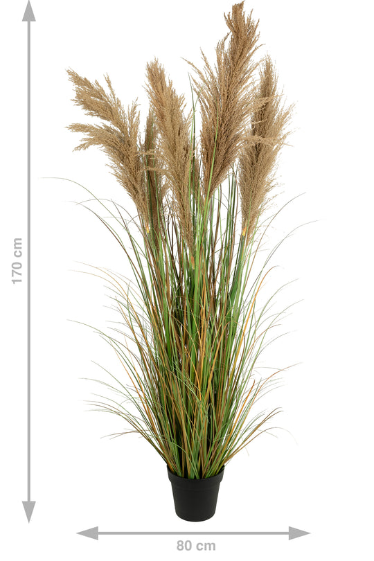 Iarba artificiala Onion 170 cm cu 7 flori naturale de pampas bej