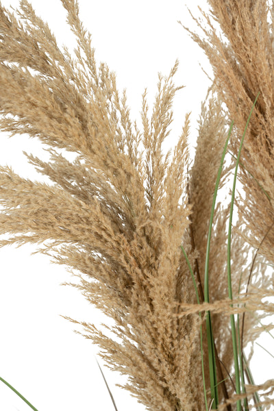Iarba artificiala Onion 170 cm cu 7 flori naturale de pampas bej