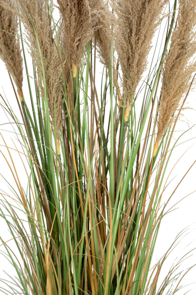 Iarba artificiala Onion 170 cm cu 7 flori naturale de pampas bej