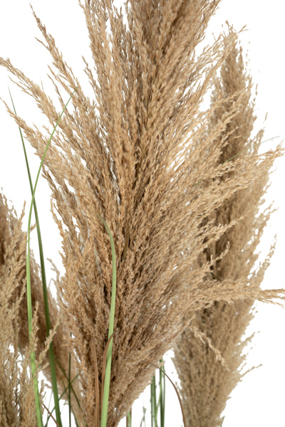 Iarba artificiala Onion 170 cm cu 7 flori naturale de pampas bej