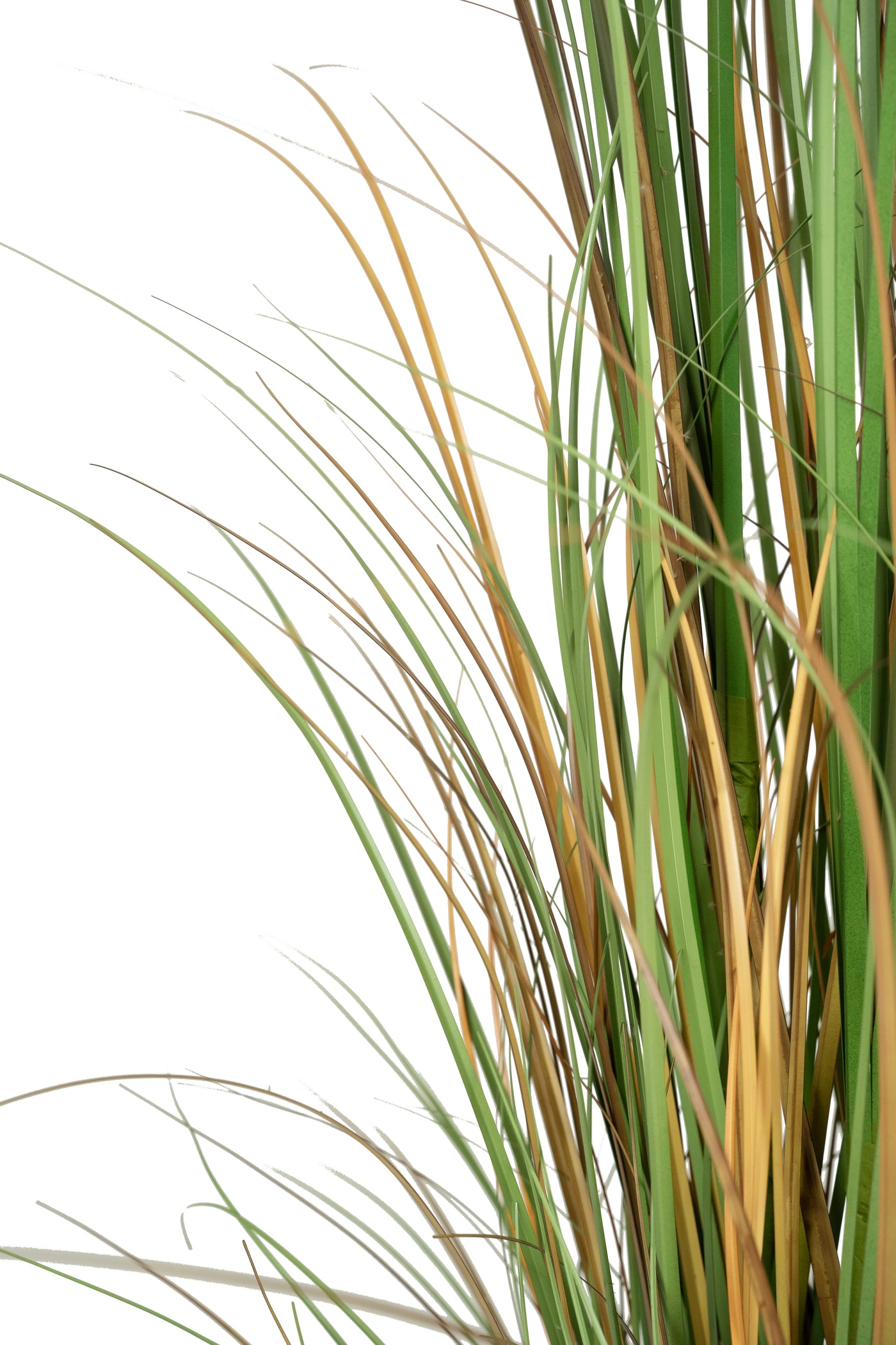 Iarba artificiala Onion 170 cm cu 7 flori naturale de pampas bej