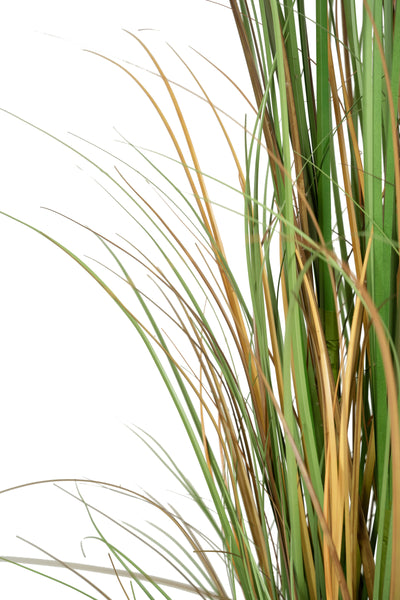 Iarba artificiala Onion 170 cm cu 7 flori naturale de pampas bej