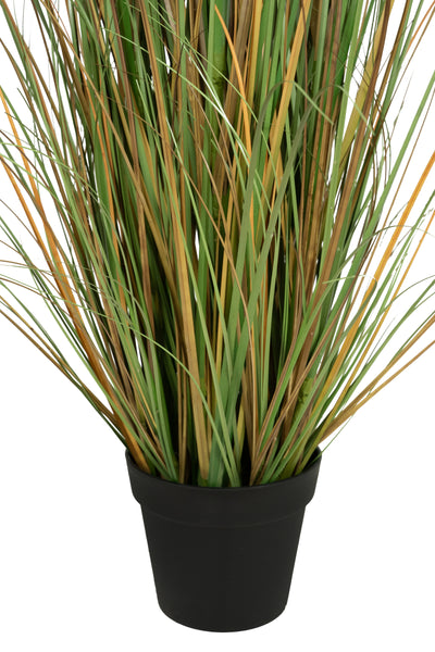 Iarba artificiala Onion 170 cm cu 7 flori naturale de pampas bej
