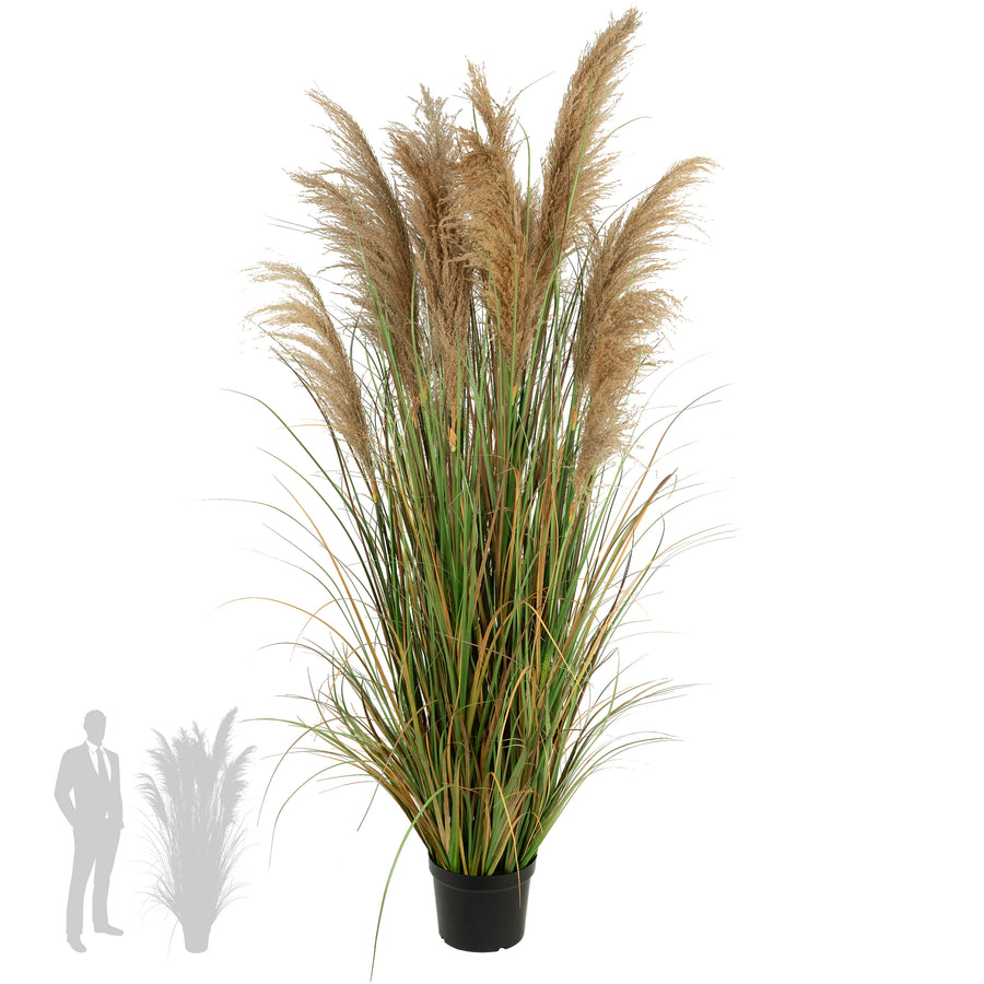 Iarba artificiala Onion 183 cm cu 13 flori naturale de pampas bej