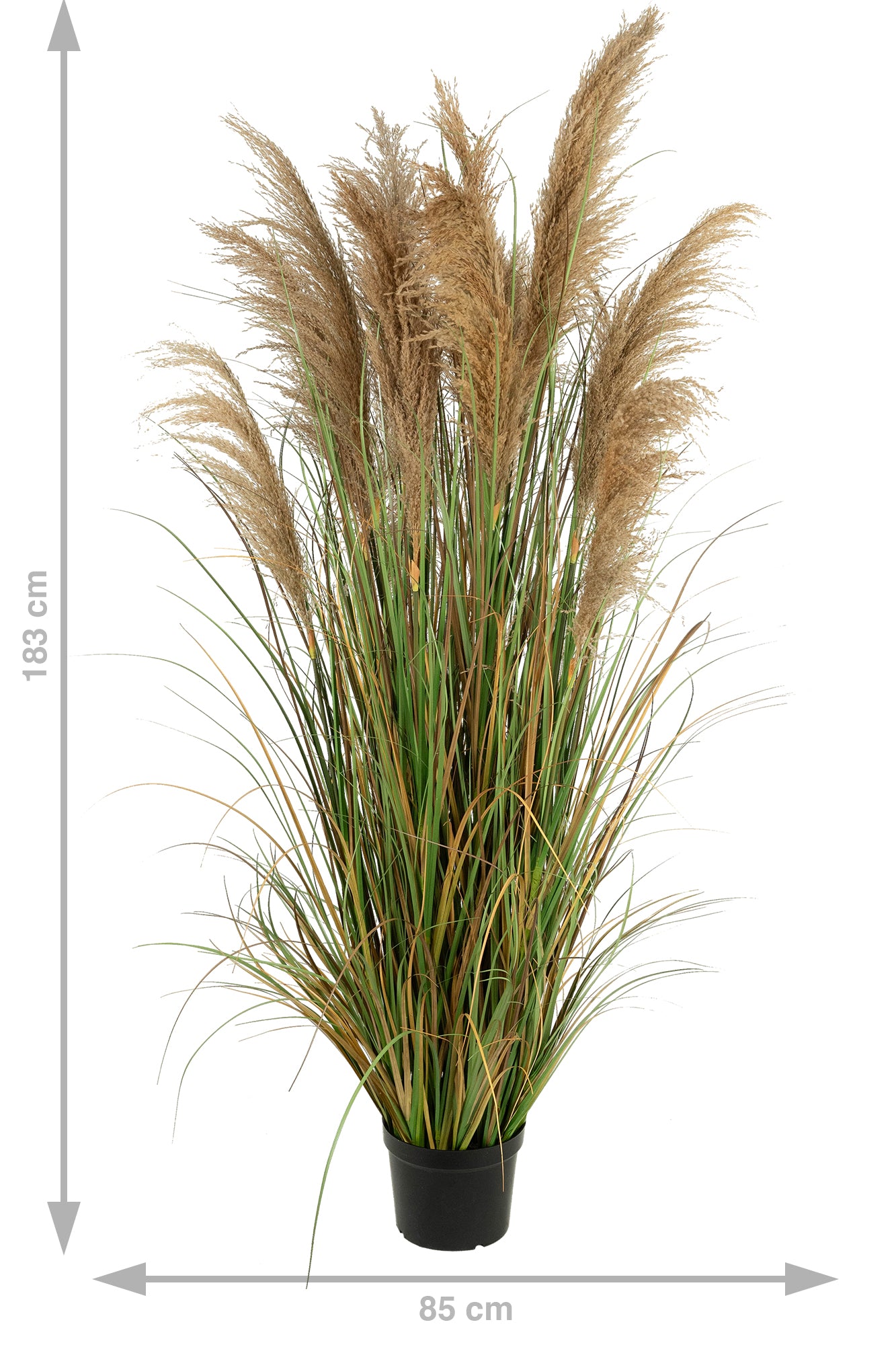 Iarba artificiala Onion 183 cm cu 13 flori naturale de pampas bej