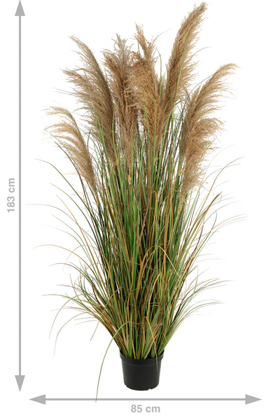 Iarba artificiala Onion 183 cm cu 13 flori naturale de pampas bej