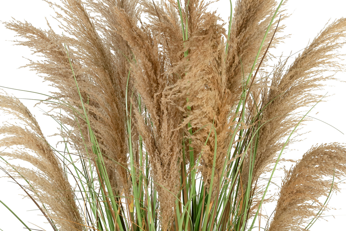 Iarba artificiala Onion 183 cm cu 13 flori naturale de pampas bej