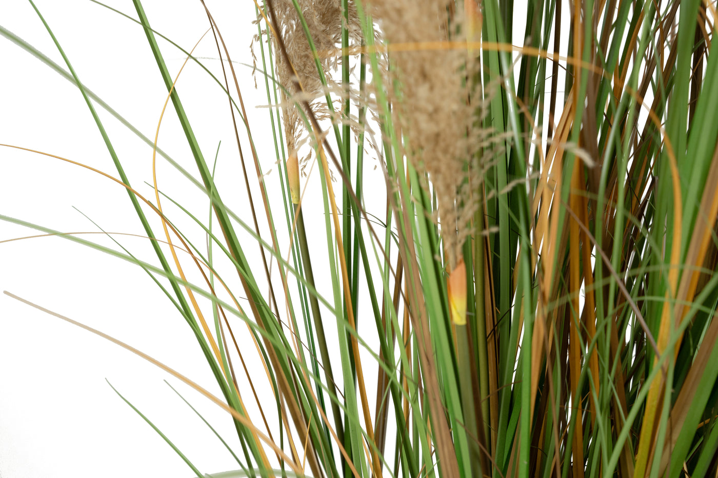 Iarba artificiala Onion 183 cm cu 13 flori naturale de pampas bej