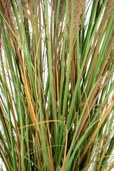 Iarba artificiala Onion 183 cm cu 13 flori naturale de pampas bej