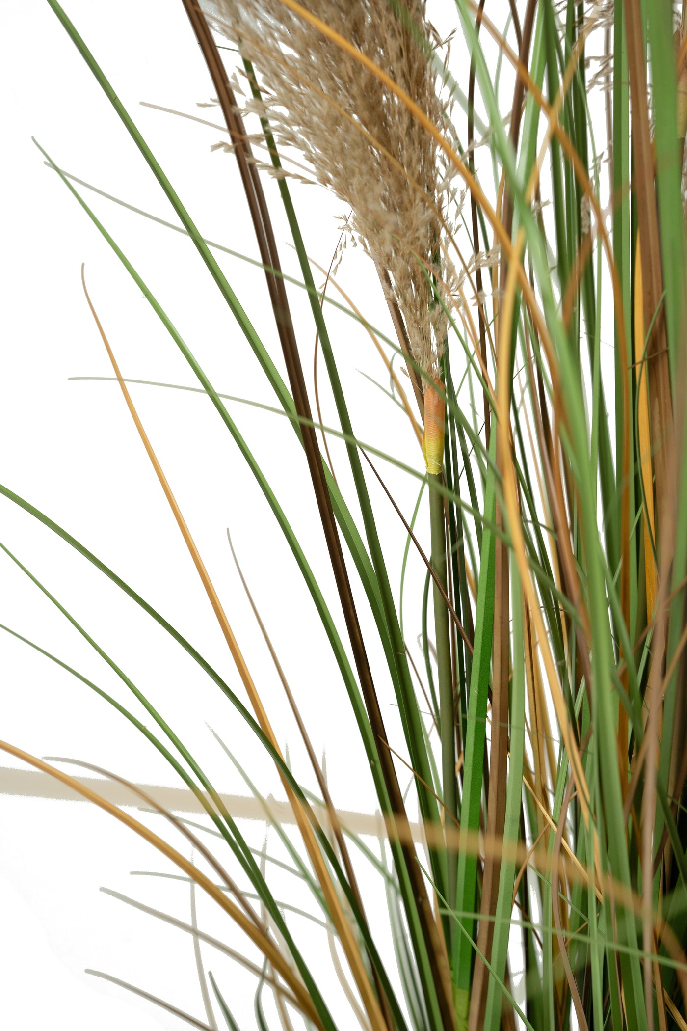 Iarba artificiala Onion 183 cm cu 13 flori naturale de pampas bej