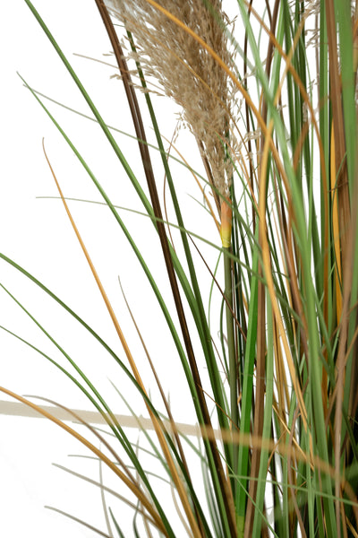 Iarba artificiala Onion 183 cm cu 13 flori naturale de pampas bej