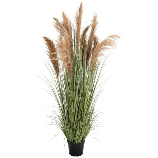 Iarba artificiala Onion 183 cm cu 13 flori naturale de pampas