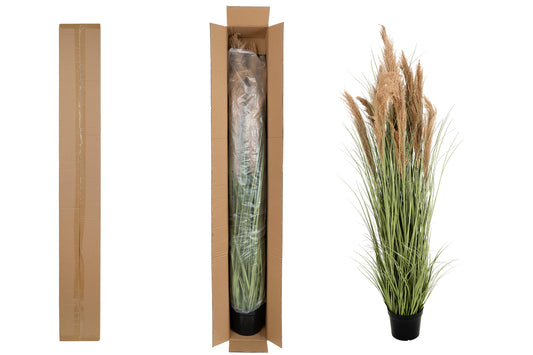 Iarba artificiala Onion 183 cm cu 13 flori naturale de pampas