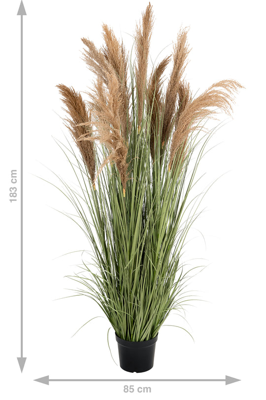 Iarba artificiala Onion 183 cm cu 13 flori naturale de pampas