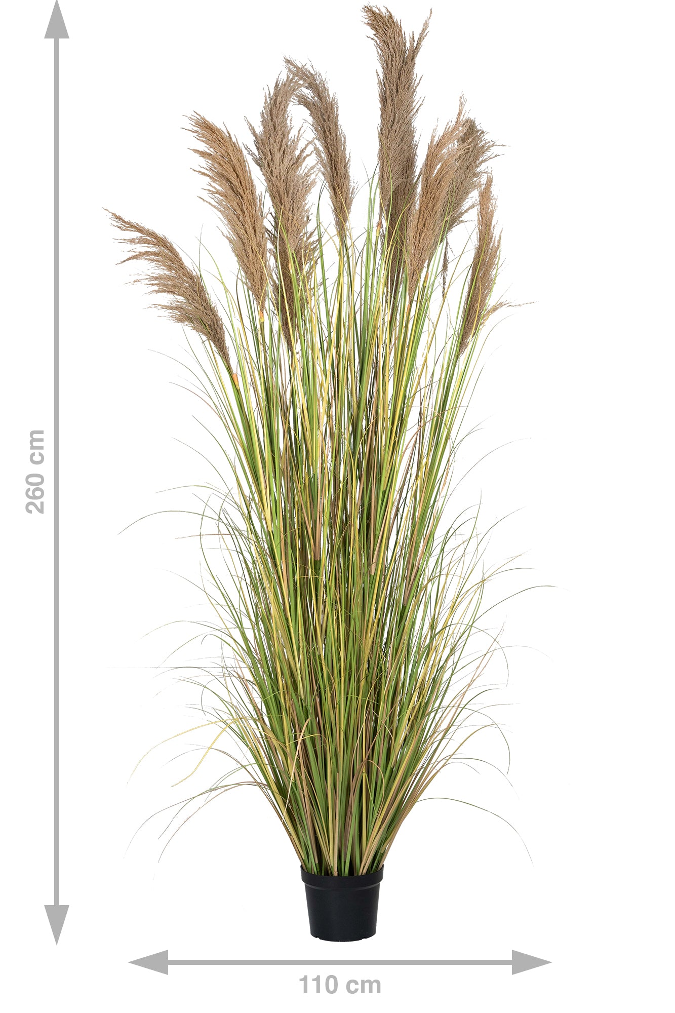 Iarba artificiala Onion 260 cm cu 10 flori naturale de pampas bej