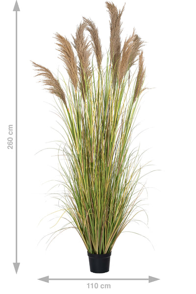 Iarba artificiala Onion 260 cm cu 10 flori naturale de pampas bej