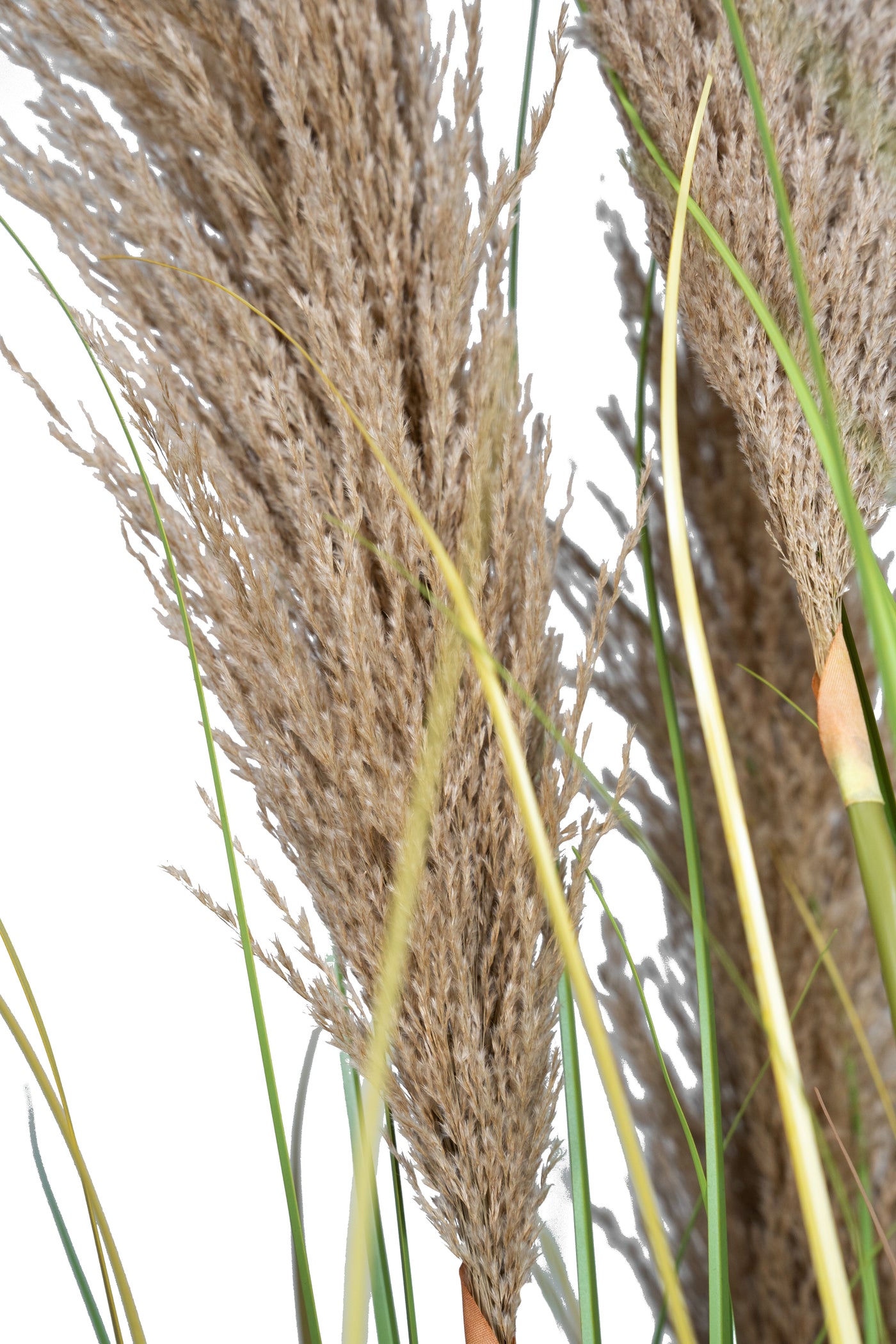 Iarba artificiala Onion 260 cm cu 10 flori naturale de pampas bej