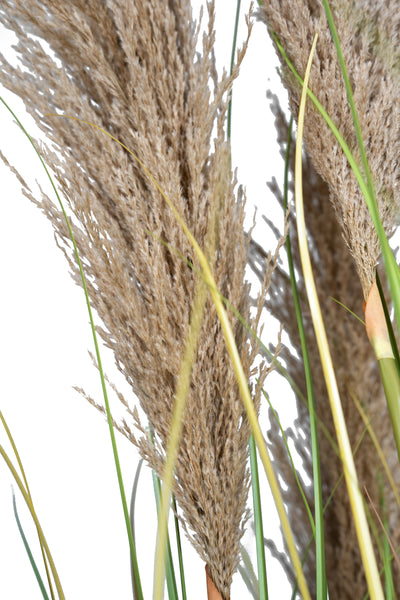 Iarba artificiala Onion 260 cm cu 10 flori naturale de pampas bej