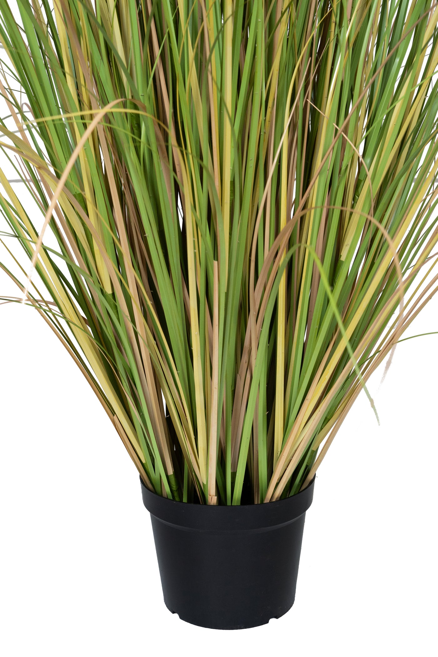 Iarba artificiala Onion 260 cm cu 10 flori naturale de pampas bej